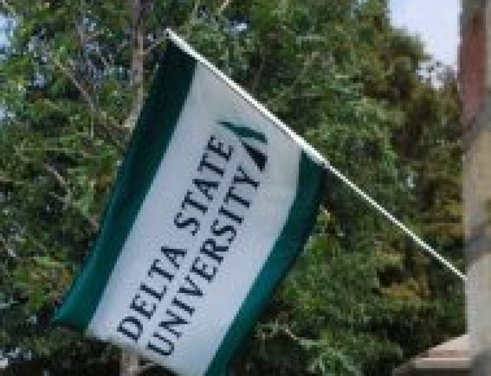 DSU Flag 2 e1515880572917 500x383@2x